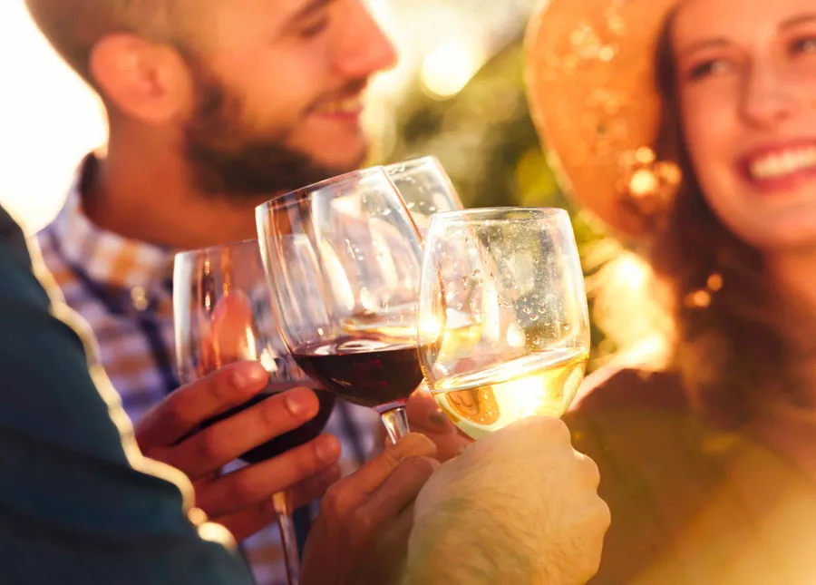 Wine & Oil Tasting with Apericena